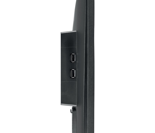 Monitor IIYAMA G-Master G2470HSU-B1 Red Eagle 1080p/165Hz/Fast IPS 0.8ms - 609925 - zdjęcie 10